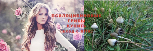 2c-b Михайлов