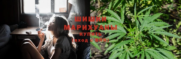 прущая мука Михайловка