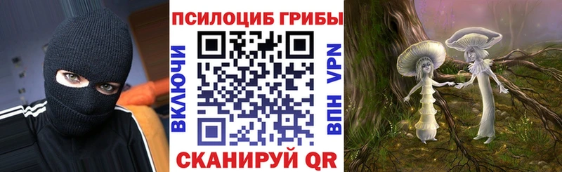 Купить Мирный Псилоцибиновые грибы прущие грибы