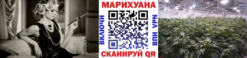 МАРИХУАНА сатива  Купить закладки  Мирный 